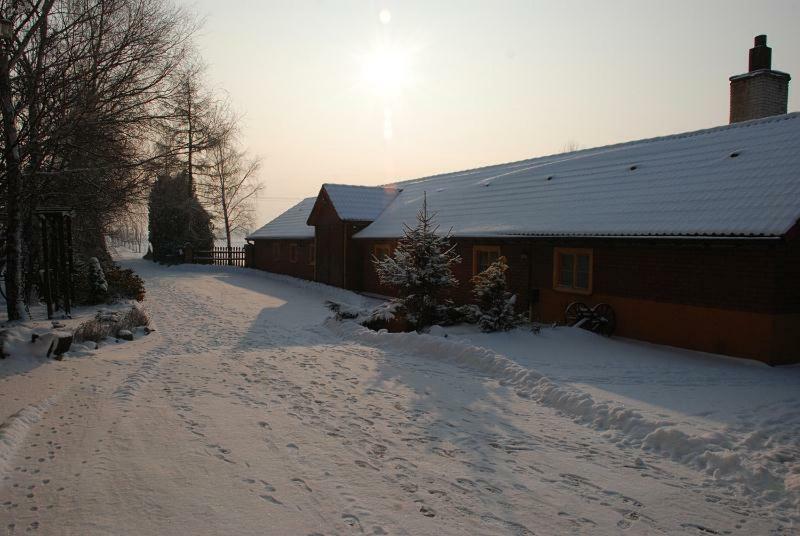 Farm stay Jagoda Blonie (Warsaw West)